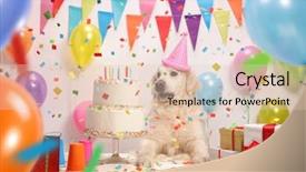  Presentation with birthday party - Theme enhanced with labrador retriever with a party background and a lemonade colored foreground