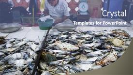  Presentation with crabs - 