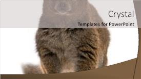  Presentation with lac - Theme enhanced with lac-alaotra-bamboo-lemur-hapalemur background and a light gray colored foreground