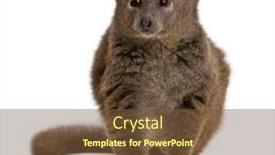  Presentation with lac - Slide deck consisting of lac-alaotra-bamboo-lemur-hapalemur background and a tawny brown colored foreground