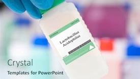  Presentation with probiotic bacteria - Slides enhanced with lactobacillus-acidophilus-bacteria-probiotic-bacteria background and a  colored foreground