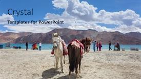  Presentation with altitude - 