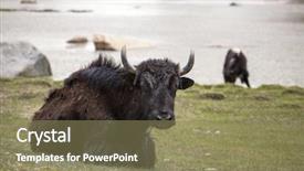  Presentation with ladakh - PPT theme enhanced with ladakh region northern india background and a violet colored foreground