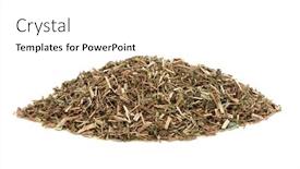  Presentation with herb - PPT layouts consisting of ladies-bedstraw-herb-leaf-used background and a white colored foreground