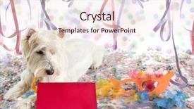  Presentation with party time - Audience pleasing PPT theme consisting of ladin - westie highland white terrier looking backdrop and a lemonade colored foreground