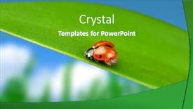  Presentation with blur - 