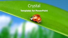  Presentation with blur - 