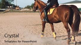  Presentation with lady - Presentation design having lady sitting on her horse background and a  colored foreground