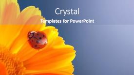  Presentation with stem - Theme enhanced with ladybird-creeps-on-stem background and a  colored foreground