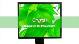  Presentation with floral border over white - Beautiful presentation design featuring ladybug crystal - computer monitor isolated over white backdrop and a shamrock green colored foreground