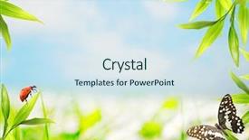  Presentation with chemistry leaves green leaf - Audience pleasing PPT theme consisting of ladybug sitting on bamboo leaves backdrop and a sky blue colored foreground