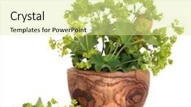  Presentation with olive leaf - Colorful slides enhanced with olive wood mortar with pestle backdrop and a blonde colored foreground