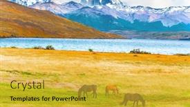  Presentation with wild horses - Cool new PPT theme with lagoon-azul-is-an-amazing backdrop and a yellow colored foreground
