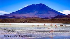  Presentation with beautiful scenery of kuala lumpur - PPT theme enhanced with laguna colorada scenery with flock background and a light blue colored foreground