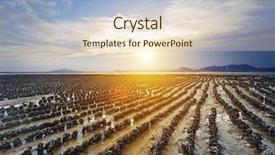  Presentation with hongkong - Presentation featuring lai - beautiful beach and sea sunset background and a lemonade colored foreground