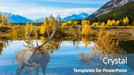  Presentation with abraham - Theme enhanced with lake abraham is the colossal background and a teal colored foreground