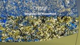  Presentation with france - Slide deck featuring lake-creteil-is-an-artificial background and a teal colored foreground