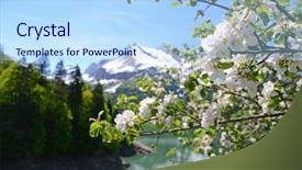  Presentation with purple rustic spring - Presentation theme enhanced with lake flower - spring in switzerland background and a light blue colored foreground