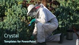  Presentation with water meter - Presentation theme consisting of lake-forest-ca-usa-june background and a wine colored foreground