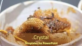  Presentation with fire emergency forest - 