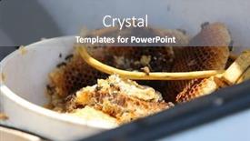  Presentation with hospital cleaning - Colorful presentation theme enhanced with lake-forest-california-7-16 backdrop and a gray colored foreground