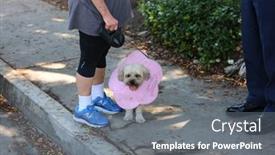  Presentation with emergency response - 