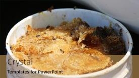  Presentation with emergency response - 