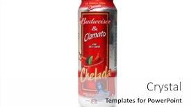  Presentation with budweiser - 