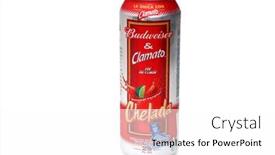  Presentation with budweiser - 