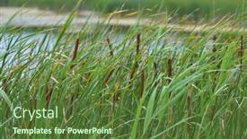 Presentation with green lake - Presentation design with lake-green-coast-covered background and a  colored foreground