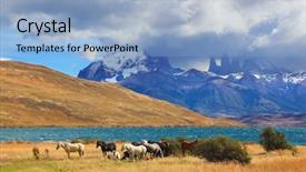  Presentation with chilean - Amazing presentation design having lake herd of horses backdrop and a light blue colored foreground