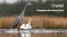  Presentation with beautiful mountains river lake sky nature - Audience pleasing PPT layouts consisting of lake in the early backdrop and a  colored foreground