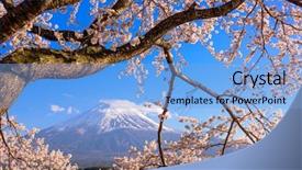  Presentation with japan cherry blossom - Slide deck with lake japan at mt fuji background and a light blue colored foreground