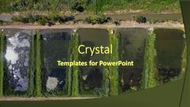  Presentation with fish farm - Theme consisting of lake-of-outdoor-fish-farm background and a tawny brown colored foreground