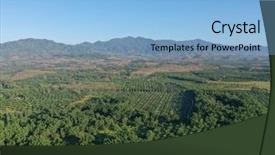  Presentation with oil palm plantation - Colorful presentation enhanced with rubber and palm oil plantation backdrop and a light blue colored foreground