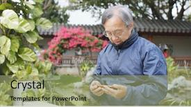  Presentation with werry old man and gis music - PPT theme featuring lake video - old man watching on smart background and a mint green colored foreground