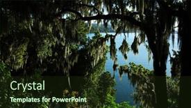  Presentation with light hanging - Audience pleasing slide deck consisting of lake-villarrica-seen-through-dense backdrop and a tawny brown colored foreground