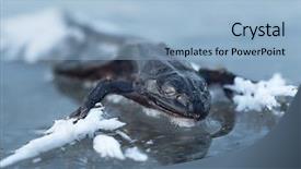  Presentation with lake ice - Amazing PPT theme having lake winter is cruel backdrop and a light blue colored foreground