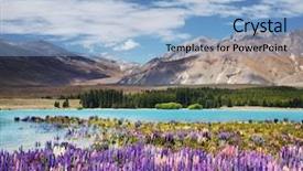  Presentation with mountain lake - Audience pleasing theme consisting of lakeside - mountain landscape with flowering lupins backdrop and a light blue colored foreground