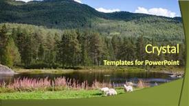  Presentation with free - Presentation design with lamb grazing on a pasture background and a tawny brown colored foreground