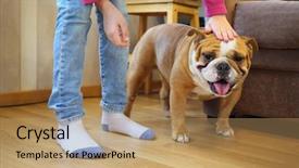  Presentation with delay child development - PPT theme having laminates - child stroking english bulldog background and a coral colored foreground