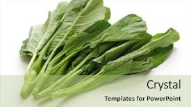  Presentation with food dimsum chinese in china - Colorful PPT layouts enhanced with lan - chinese kale chinese broccoli isolated backdrop and a mint green colored foreground