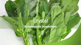  Presentation with organic - Theme featuring lan - closeup organic vegetable background and a  colored foreground