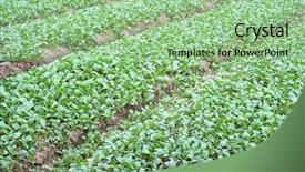  Presentation with land - Audience pleasing PPT layouts consisting of land acquisition - green backdrop and a seafoam green colored foreground