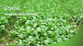  Presentation with land - Amazing presentation theme having land acquisition - green backdrop and a seafoam green colored foreground