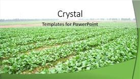  Presentation with land - Cool new slides with land acquisition - vegetable backdrop and a white colored foreground
