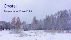  Presentation with winter scene - Presentation design with land and trees are beautifully covered with snow after heavy snowfall abstract winter background winter outdoor scene happy new year and merry christmas background background and a sky blue colored foreground