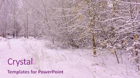  Presentation with happy new year - Cool new slide deck with land and trees are beautifully backdrop and a pink colored foreground