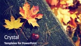  Presentation with autumn wood - Cool new presentation with colorful autumn leaves on the background a dark old wood backdrop and a navy blue colored foreground