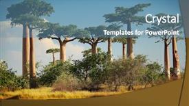  Presentation with dry - Presentation theme consisting of land at sunny day madagascar background and a teal colored foreground
